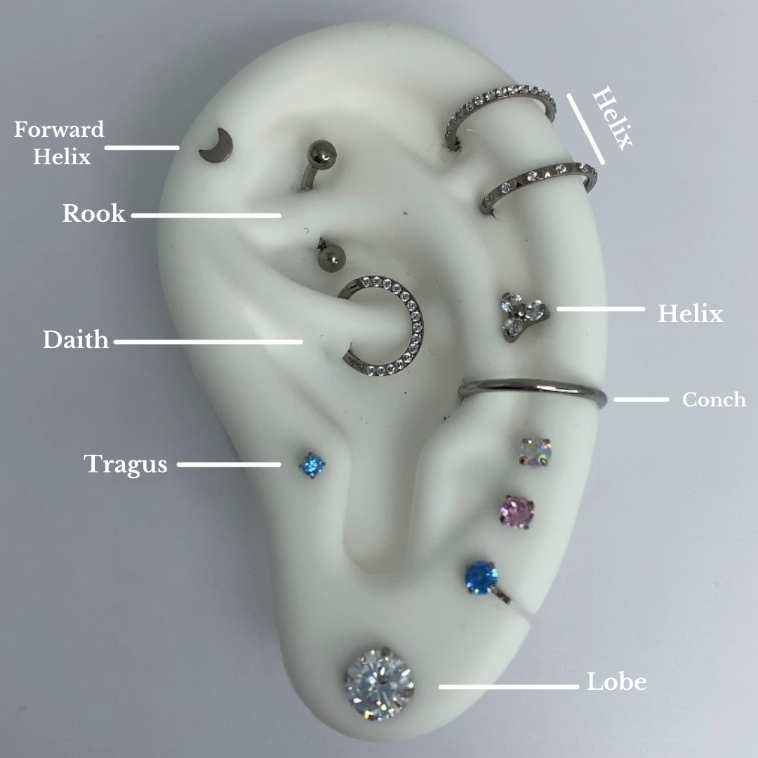 Ear Piercing Guide