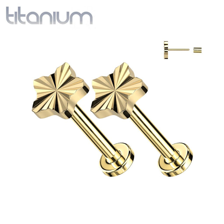 Pair of Implant Grade Titanium Gold PVD Dainty Ridged Star Threadless Push In Earrings With Flat Back - Pierced Universe