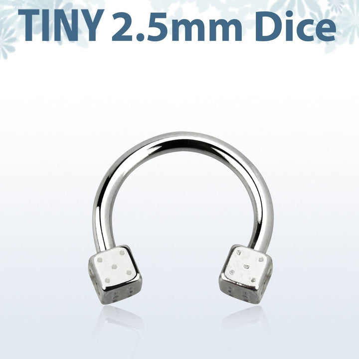 316L Surgical Steel Horseshoe with Small Dice - Pierced Universe