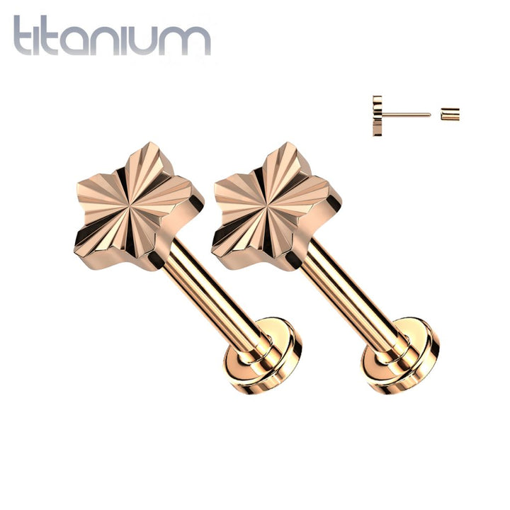 Pair of Implant Grade Titanium Rose Gold PVD Dainty Ridged Star