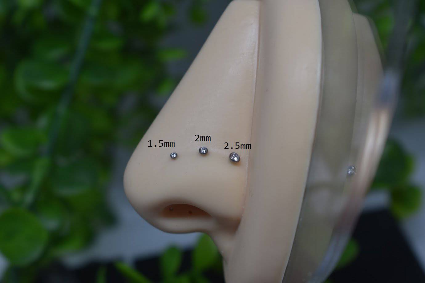 Implant Grade Titanium Threadless Push In Nose Ring Bezel Aurora ...