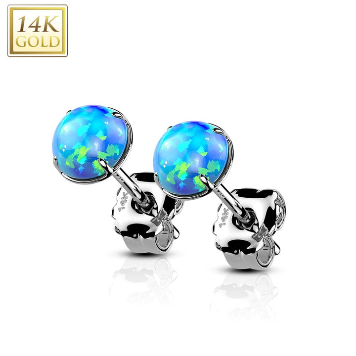 Pair Of 14KT Solid White Gold Circle Round Clawed Blue Opal Stud Earrings - Pierced Universe